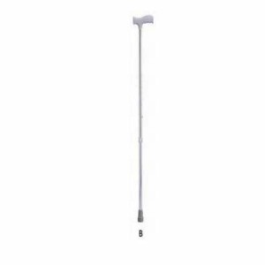 Aluminum Walking Stick