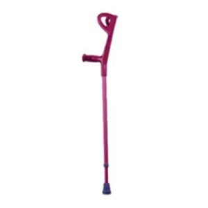 Walking Stick